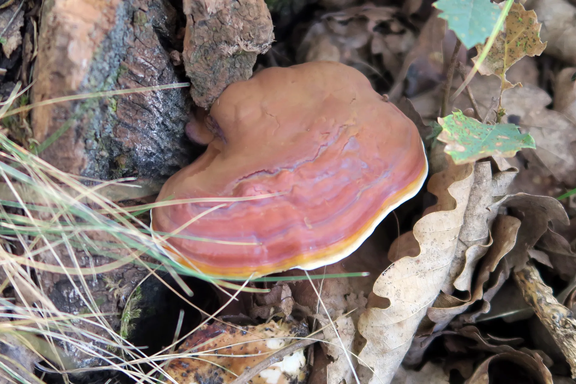 1 -